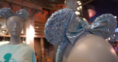 What's New At Disney's EPCOT! New Arendelle Aqua Merch, Jimmie Allen & Walls Everywhere!