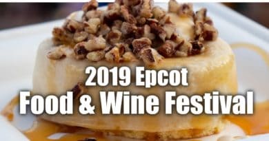 Cory Meets World - First Visit to 2019 Food & Wine Festival at Epcot
