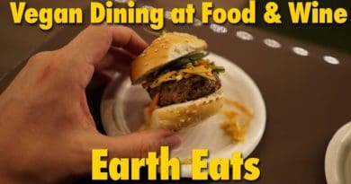 DIS Unplugged - Vegan Dining at Food & Wine 2019