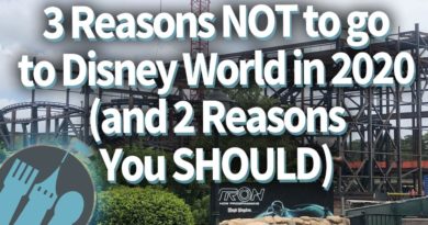 Disney Food Blog - 3 Reasons Not to go to Disney World in 2020 and 2 Reasons TO go