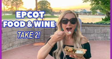 SulliVlogs - 2019 Epcot Food & Wine Festival Second Visit