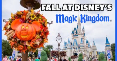 SulliVlogs - Fall at Magic Kingdom