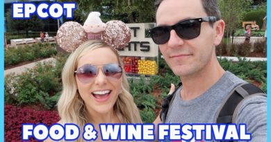 SulliVlogs - Epcot Food & Wine Festival First Visit of 2019
