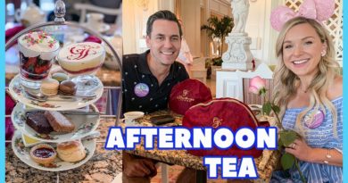 SulliVlogs - Afternoon Tea at the Grand Floridian