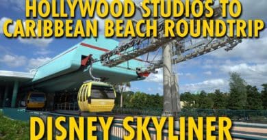 The DIS - Disney Skyliner POV Round Trip