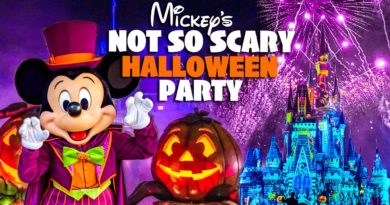 Top 10 Must Dos at Mickey's Not So Scary Halloween Party 2019