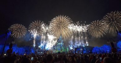 Disney's Not So Spooky Spectacular firework show 2019