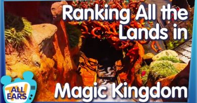 Which Magic Kingdom Land is the BEST? We're Ranking the 7 Lands of The Most Magical Place on Earth!