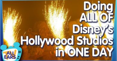 Every Attraction in Hollywood Studios in ONE DAY!
