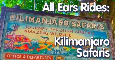 All Ears Rides Kilimanjaro Safaris: POV Ride Through, Helpful Tips and the BEST Time to See Animals!