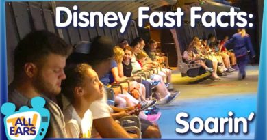 5 Disney Fast Facts About Soarin' Around the World in Epcot PLUS Ride Tips and Tricks!