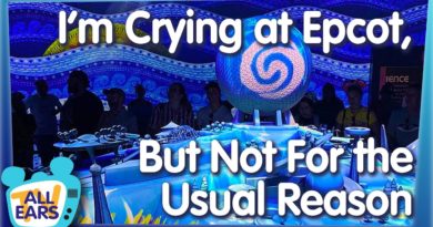 I'm Crying at Epcot, But Not For the Usual Reason