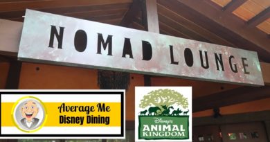 Lunch at Animal Kingdom's Nomad Lounge