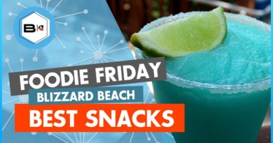 5 Must Have Snacks & Drinks at Disney’s Blizzard Beach