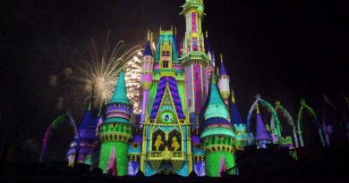 Minnie’s Wonderful Christmastime Fireworks Preview