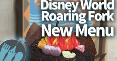 Disney World Roaring Fork Review, Wilderness Lodge!