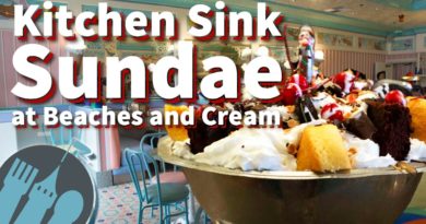 The Kitchen Sink Sundae at Beaches and Cream!