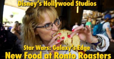 New Food at Ronto Roasters in Star Wars: Galaxy's Edge