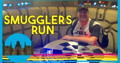 Piloting the Millennium Falcon on Smugglers Run - Hollywood Wednesday