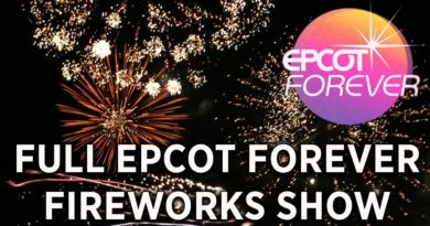 Epcot Forever fireworks show premiere at Walt Disney World