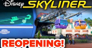 Disney Skyliner Gondola REOPENS WITH CHANGES in Walt Disney World!