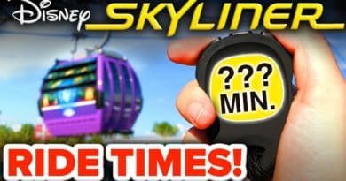 Disney Skyliner CROWDS & RIDE TIMES Opening Day! - Disney News VLOG