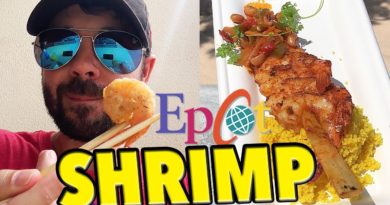 Epcot Shrimp Challenge! Eating Every Shrimp Dish at EPCOT Food & Wine Festival!