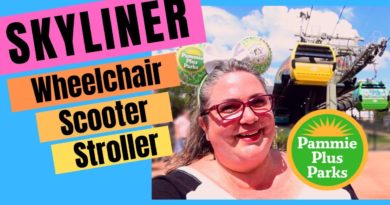 How to ride the Skyliner for Scooters and Wheelchairs | Strollers | Sensory Challenges | FAQ