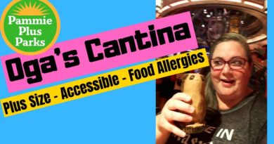 Oga's Cantina Review | Plus Size | Wheelchair | ECV | Stroller | Food Allergy | Autism | Epilepsy