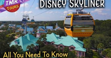 Disney Skyliner Information | All You Need To Know | Disney Gondola | Let's Take A Ride