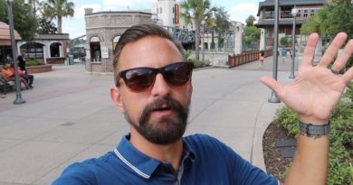 Our Updated Tour Around Disney Springs The Landing District! - Shops, Resturants & More!
