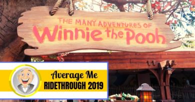 Average Me - Winnie the Pooh ride through 2019