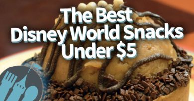 Disney Food Blog - Best Disney World Snacks Under $5