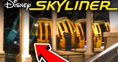 MIckey View - Skyliner Incident Halts Operation
