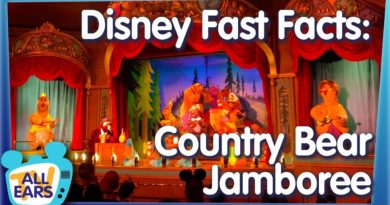 12 Fast Facts About Disney's Country Bear Jamboree!