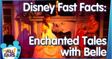6 Fast Facts about Magic Kingdom's Enchanted Tales With Belle PLUS Touring Tips and Hidden Secrets!