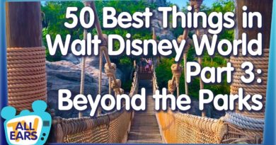 The 50 Best Things You Can Do In Walt Disney World -- Part 3: Beyond the Parks!