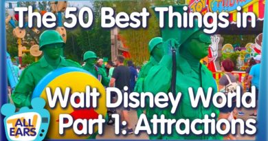 The 50 BEST Things You Can Do in Walt Disney World -- Part 1: Rides and Attractions!