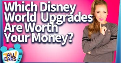 Which Disney World Upgrades Are Worth Your Money?