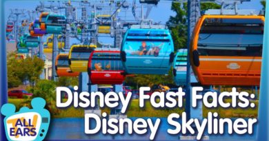 11 Fast Facts About the NEW Disney Skyliner in Disney World!