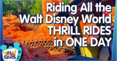 Is It Possible to Ride Every Thrill Ride at Walt Disney World in ONE DAY?!