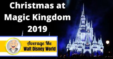 Christmas Time at Magic Kingdom 2019 - Walt Disney World