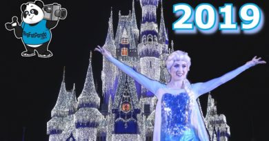 A Frozen Holiday Wish 4K - First Cinderella Castle Lighting of 2019 - Walt Disney World