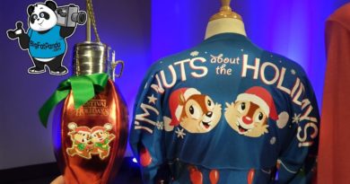 Epcot Holiday Merchandise Preview - International Festival of the Holidays