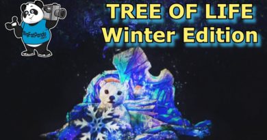TREE OF LIFE Awakenings - Winter Holiday Edition - Disney's Animal Kingdom