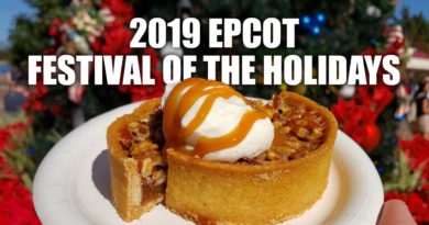 EPCOT Festival of the Holidays 2019 (OPENING DAY)