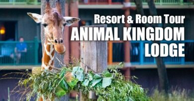 Disney's Animal Kingdom Lodge Club Level Resort & Room Tour (2019)