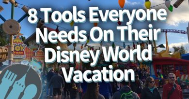 8 Tools Everyone Needs On Their Disney World Vacation