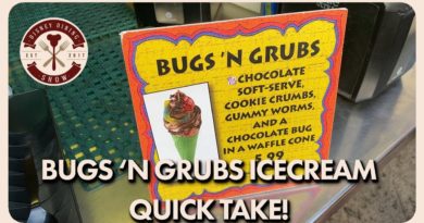 Disney Dining Show QUICK TAKE - Bug's 'N Grub Ice Cream Cone
