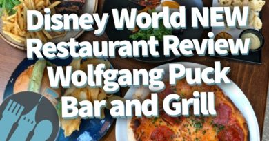 Disney World NEW Restaurant Review! Wolfgang Puck Bar and Grill in Disney Springs